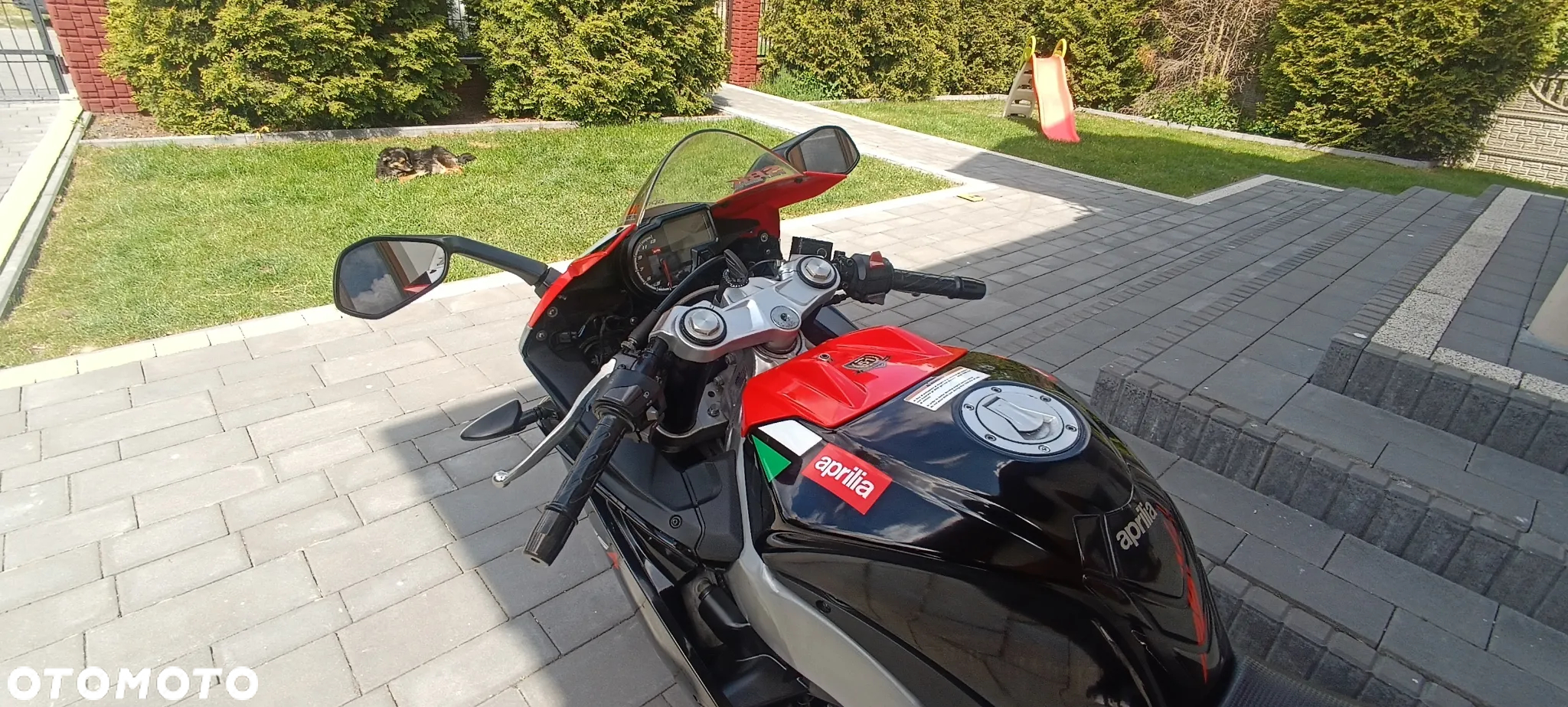Aprilia RS - 19