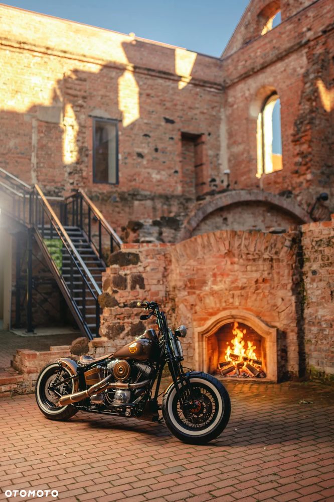 Harley-Davidson Softail Cross Bones - 18