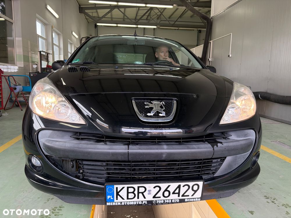 Peugeot 206 plus 60 - 13