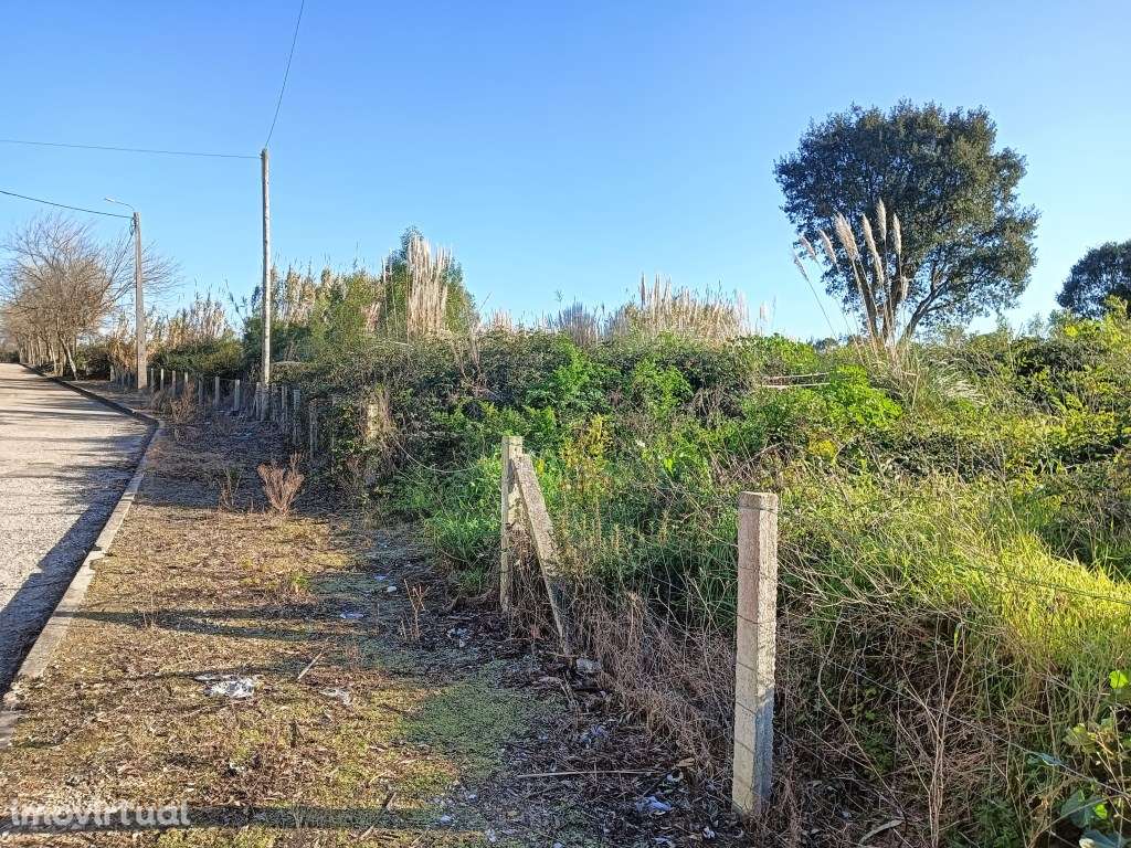 Terreno com 60m de frente - São Bernardo / Aveiro - Grande imagem: 5/9