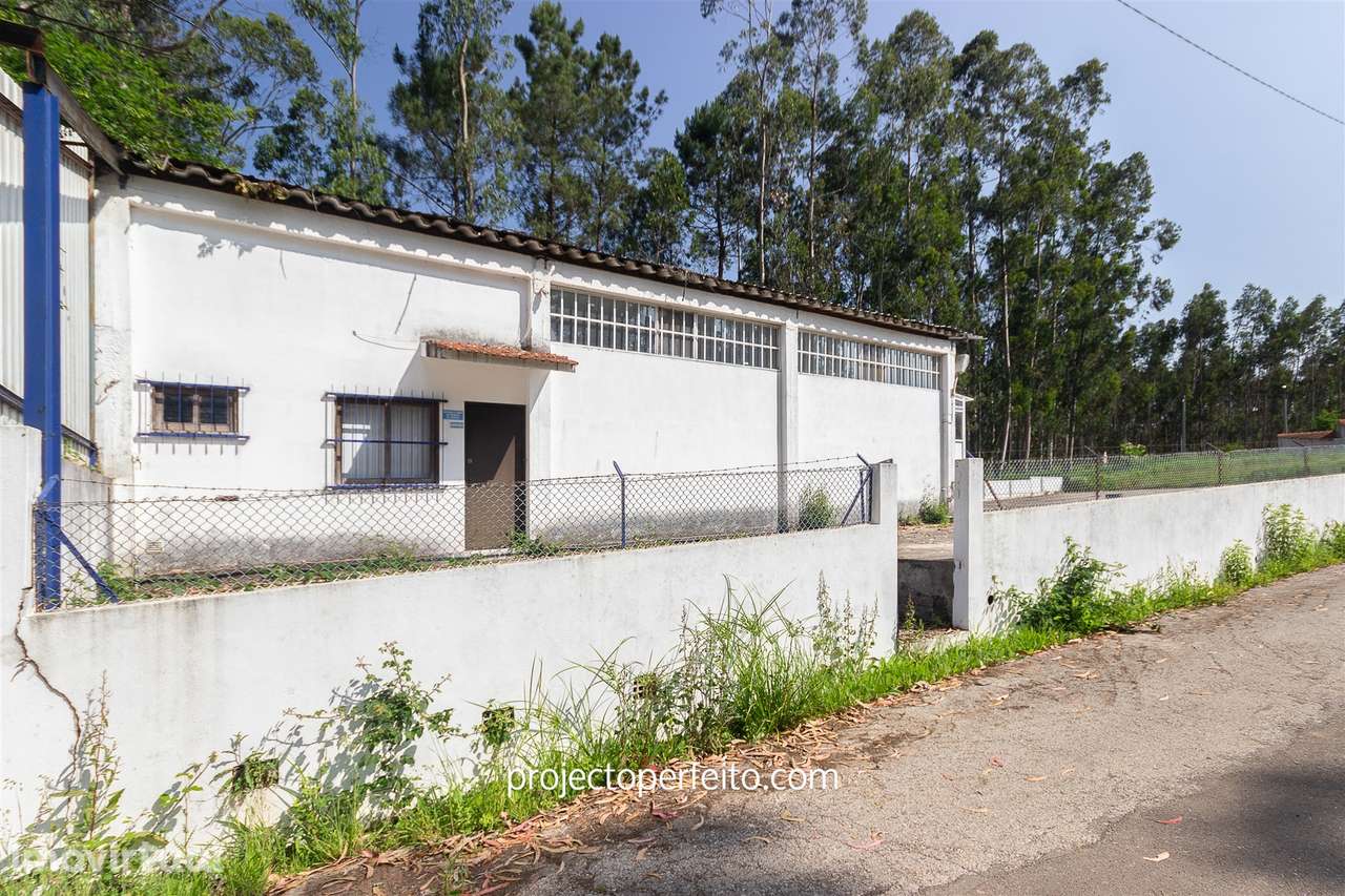 Armazém  Venda em Válega,Ovar - Grande imagem: 3/15
