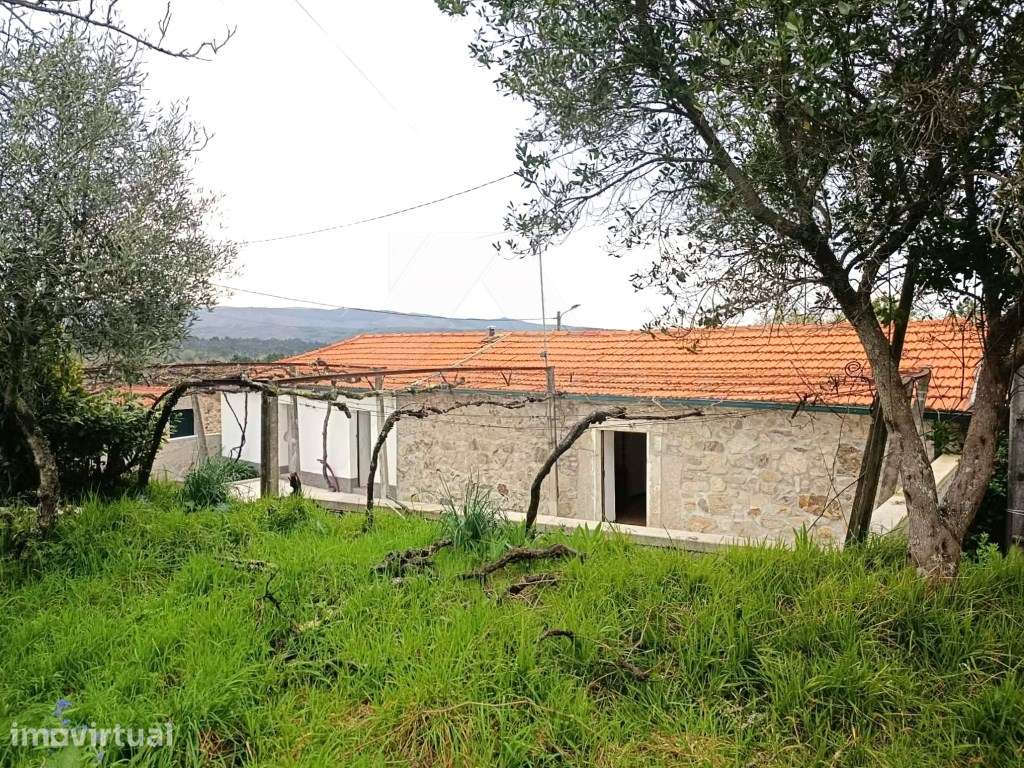Casa antiga habitável - Grande imagem: 3/24