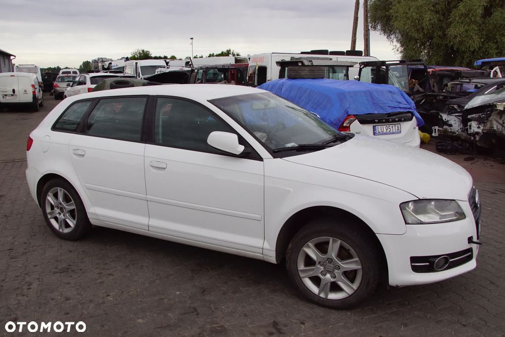 Auto na części - Audi A3 8P Lift 1.6 TDI 105 KM CAYC LUB LY9C 2013R Silnik Skrzynia Drzwi Maska Błotnik Zderzak Klapa Lampa Lusterko Klamka Szyba Deska Kokpit Sterownik Moduł Czujnik Licznik Panel Kierownica - 2