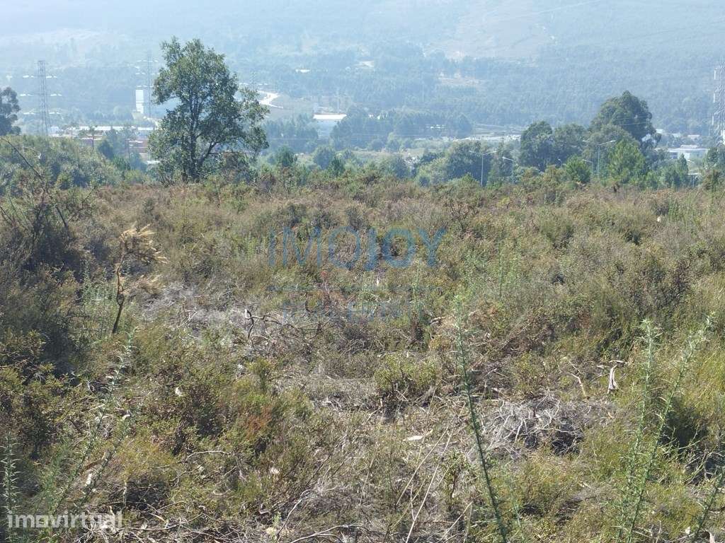 Terreno em Campo Sobrado, Valongo - Grande imagem: 3/16