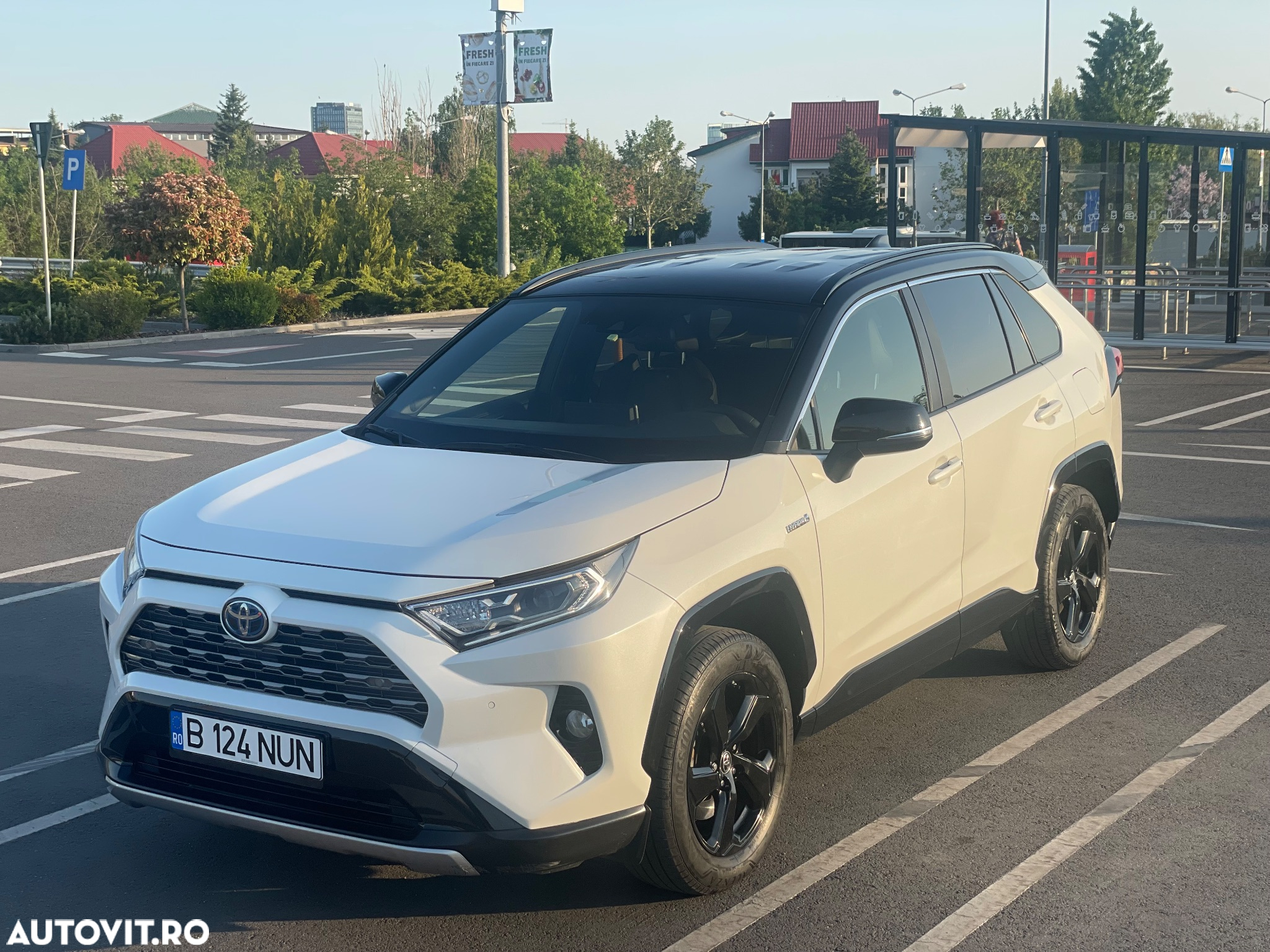 Toyota RAV4 2.5 4x4 Hybrid Style Selection - 13