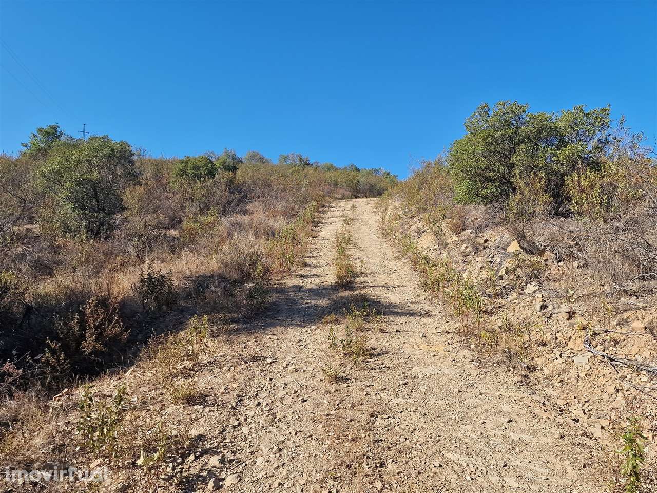 Terreno Rústico  Venda em São Barnabé,Almodôvar - Grande imagem: 2/9