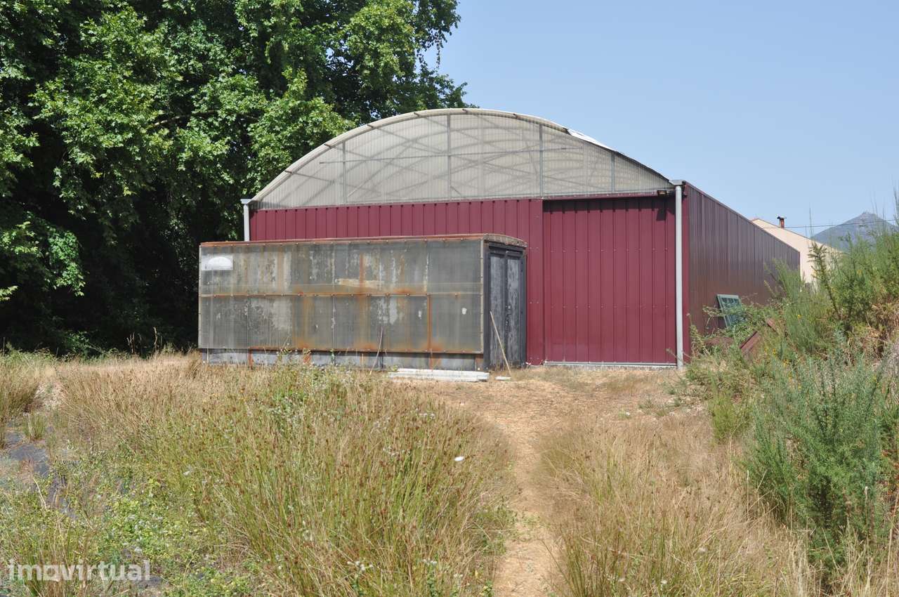 Excelente quinta com 6,1 Hectares — Celorico de Basto - Grande imagem: 2/22