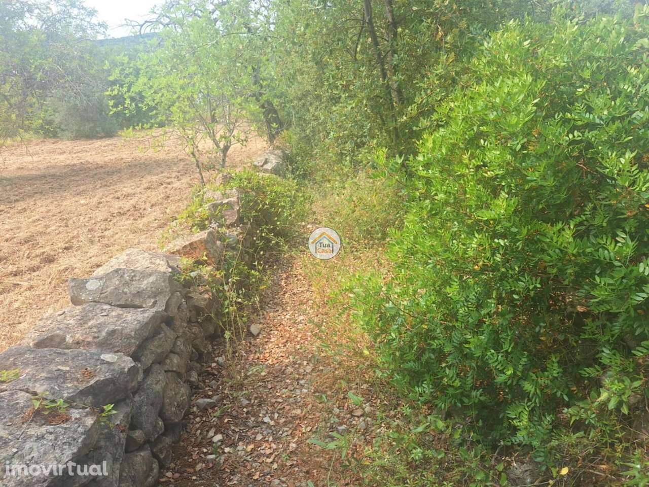 Terreno Rústico em Bordeira no concelho de Faro - Grande imagem: 4/20