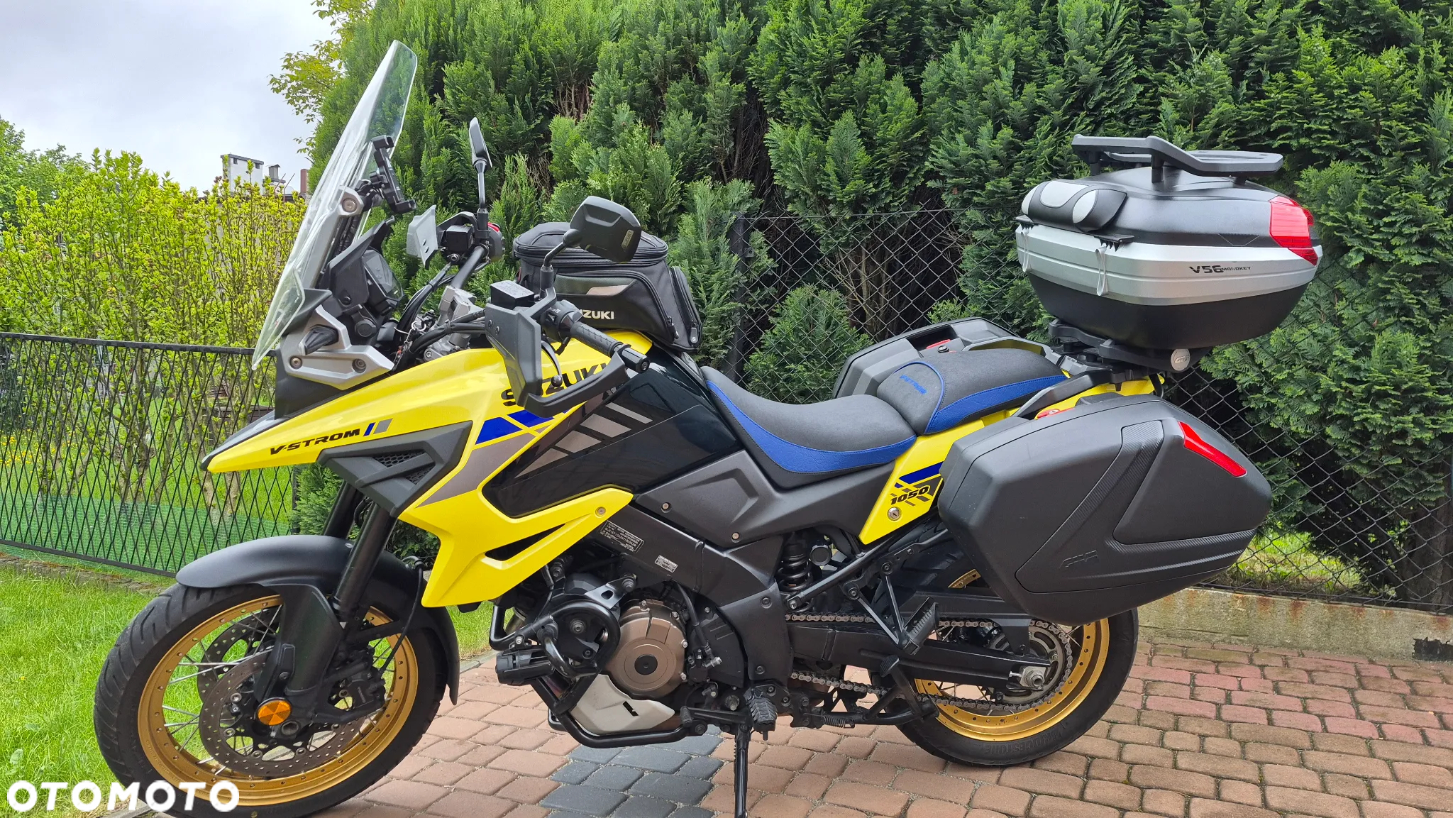 Suzuki DL - 10