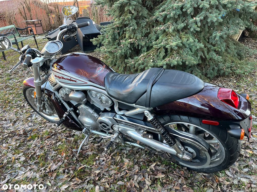 Harley-Davidson V-Rod Street Rod - 4