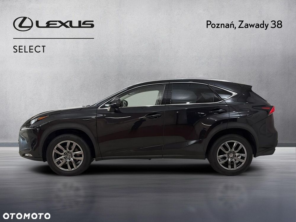 Lexus NX 300 Comfort AWD - 6