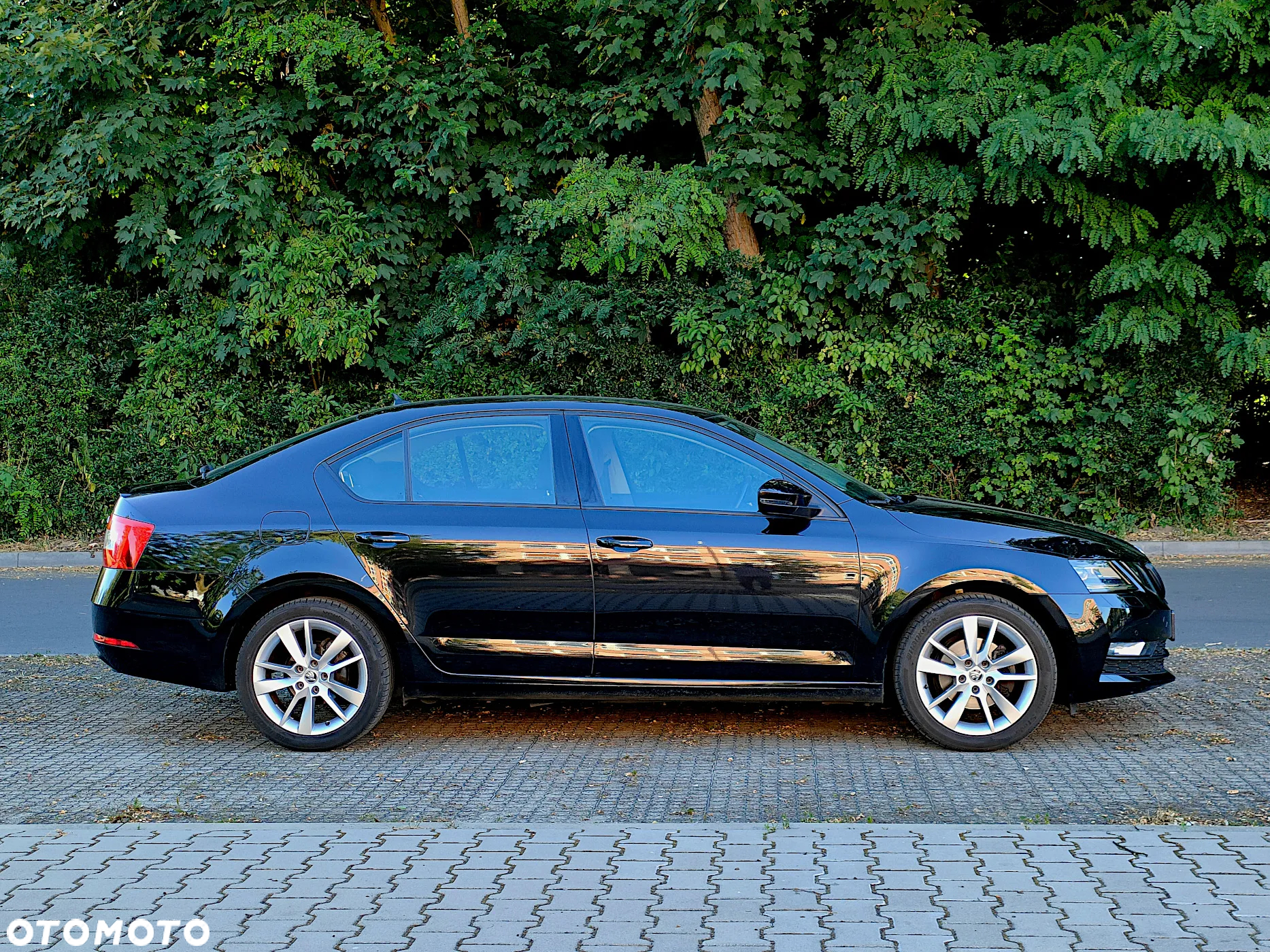 Skoda Octavia 1.5 TSI ACT Style - 8