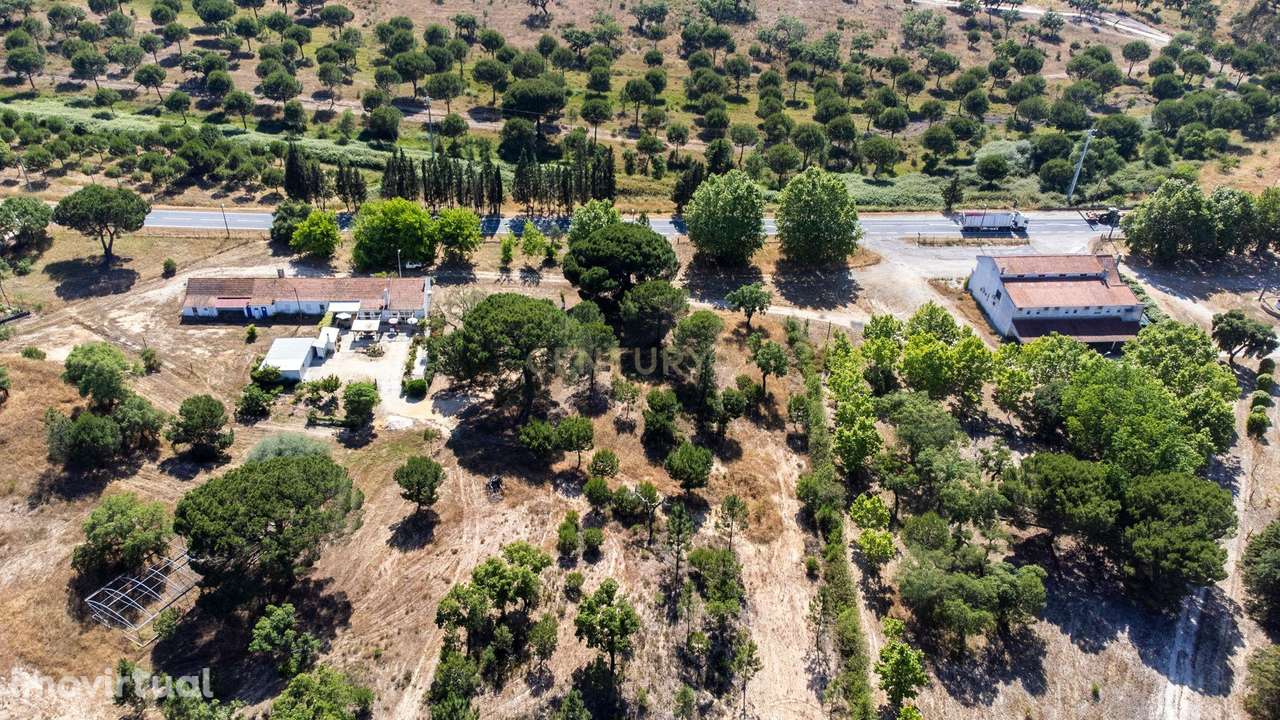 Arrendamento - Encantadora Herdade em Évora, Montemor-o-Novo — Lavre - Grande imagem: 5/45