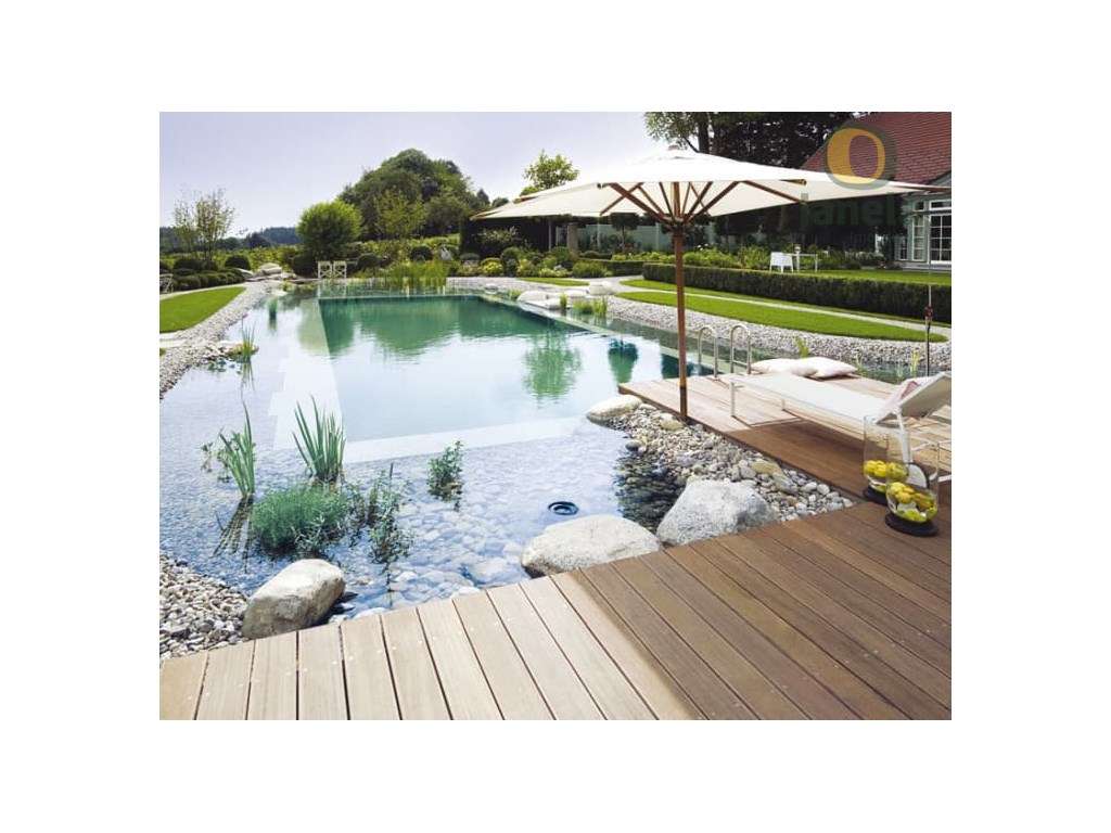 Terreno com viabilidade para Eco Resort - Grande imagem: 4/9