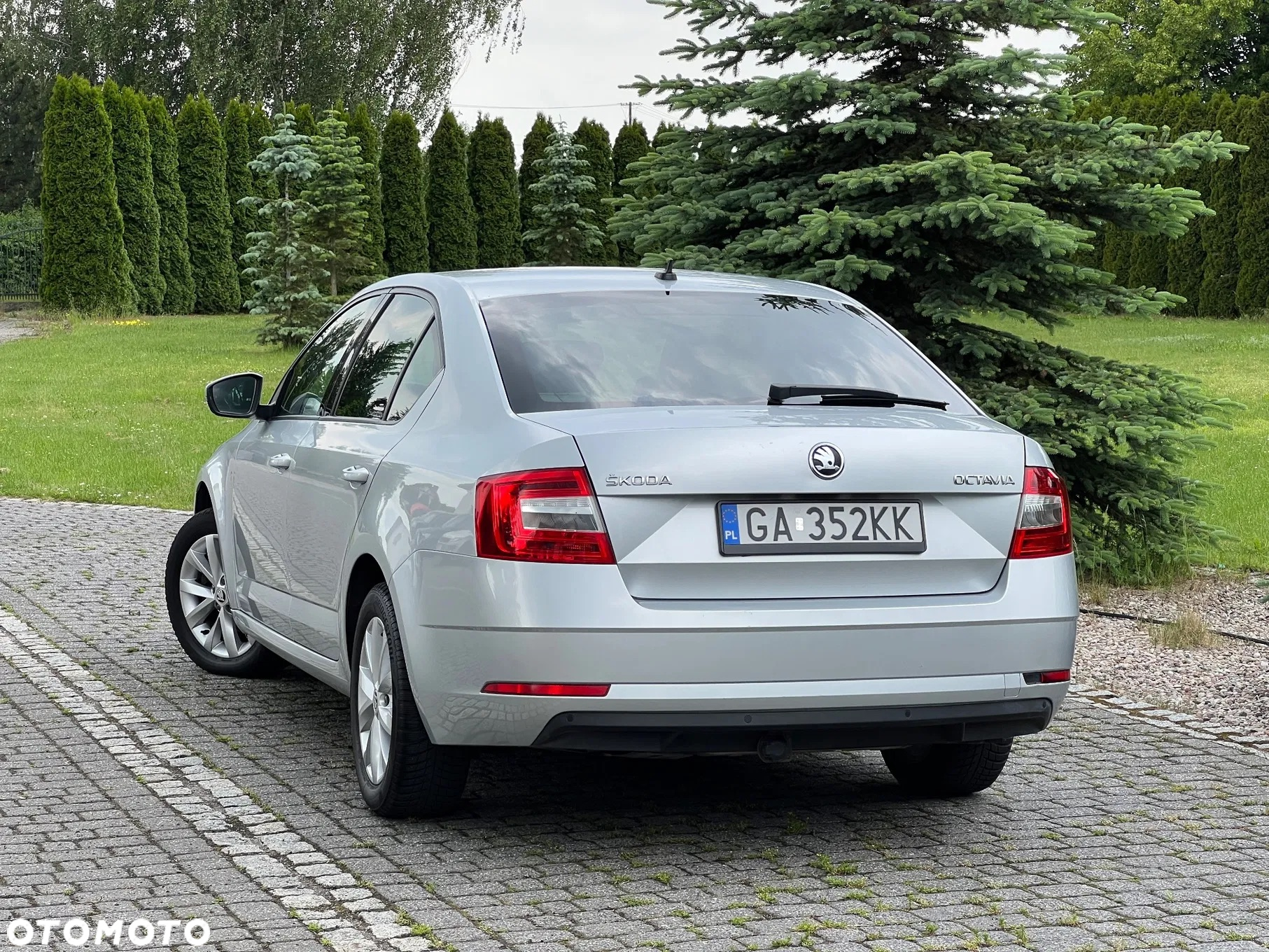 Skoda Octavia - 5