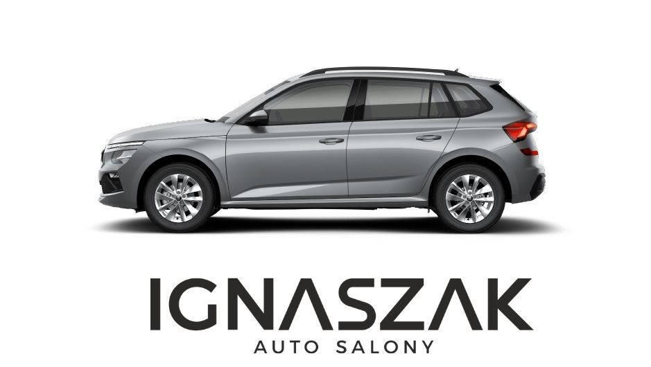 Skoda Kamiq 1.5 TSI DSG Drive - 3