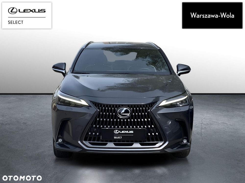 Lexus NX - 10