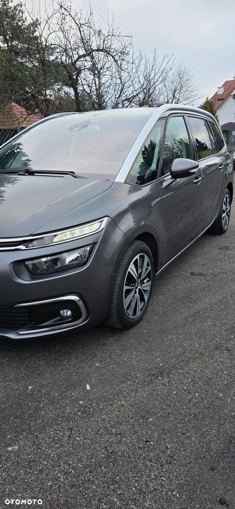 Citroën C4 SpaceTourer Grand BlueHDi 130 Stop&Start LIVE PACK - 21