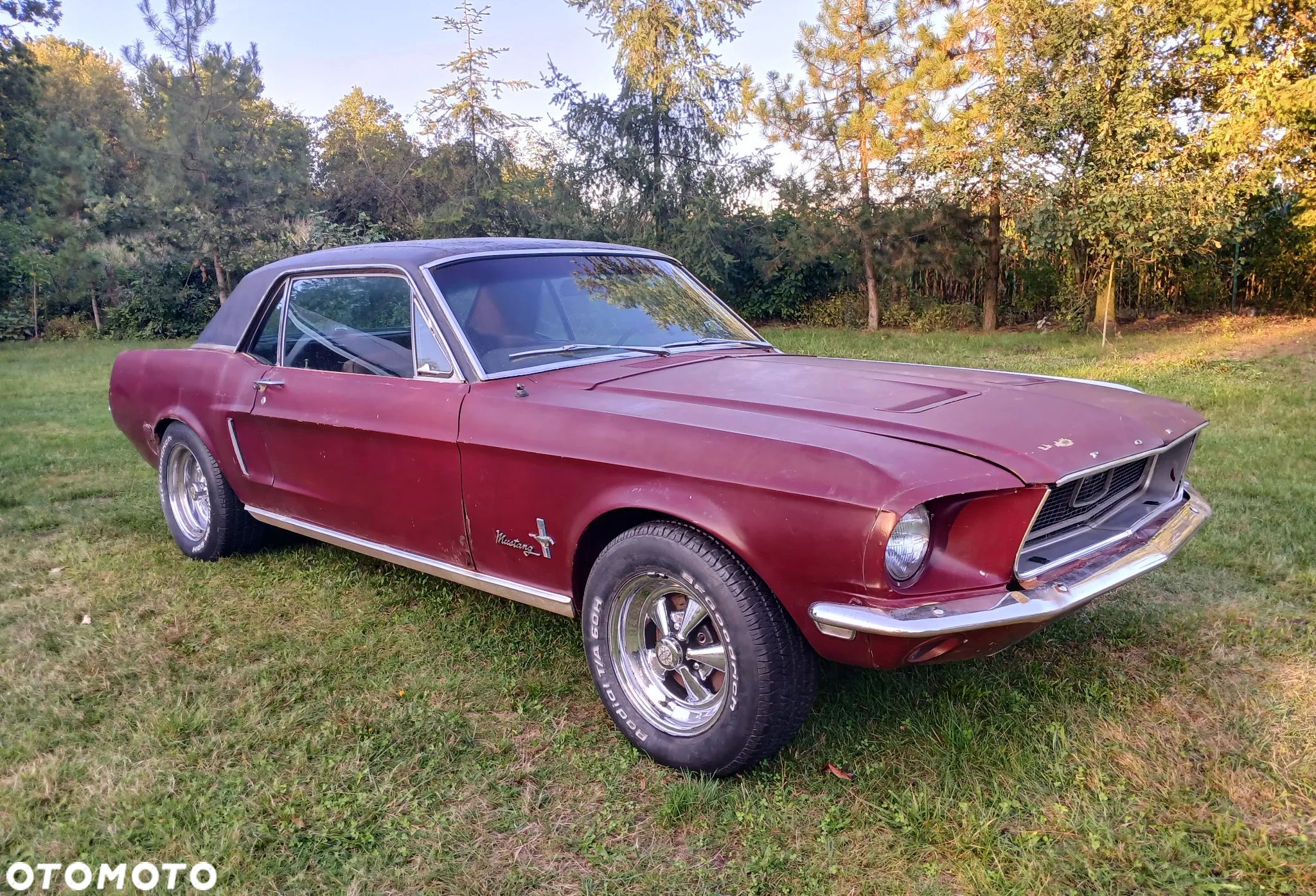 Ford Mustang - 1