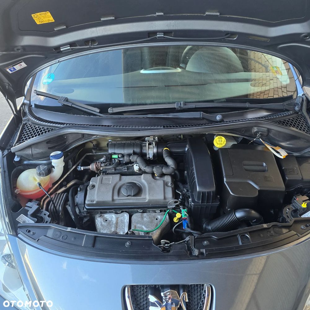 Peugeot 207 75 forever - 16