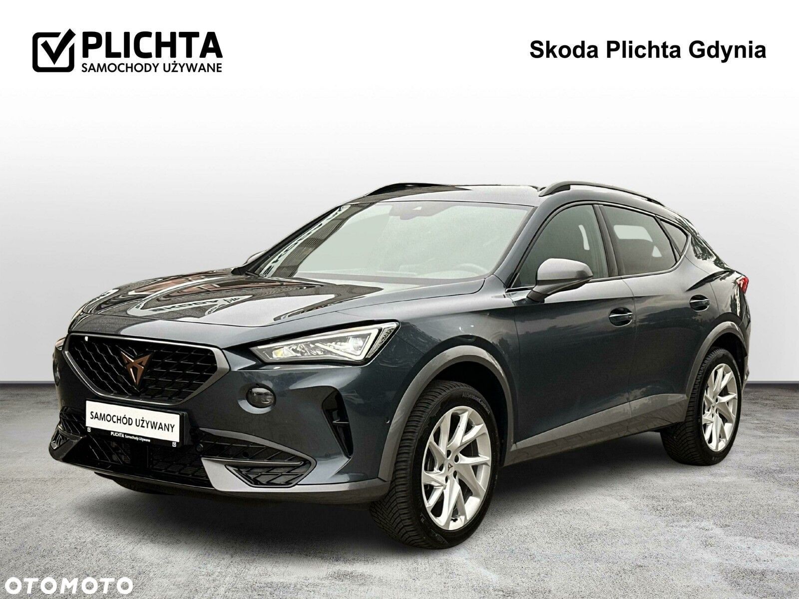 Cupra Formentor 2.0 TSI 4Drive DSG - 1