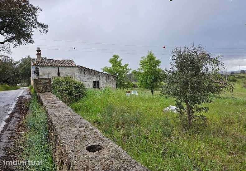 Quinta a 2Kms da cidade Castelo Branco 12,69 Hectares - Grande imagem: 5/8