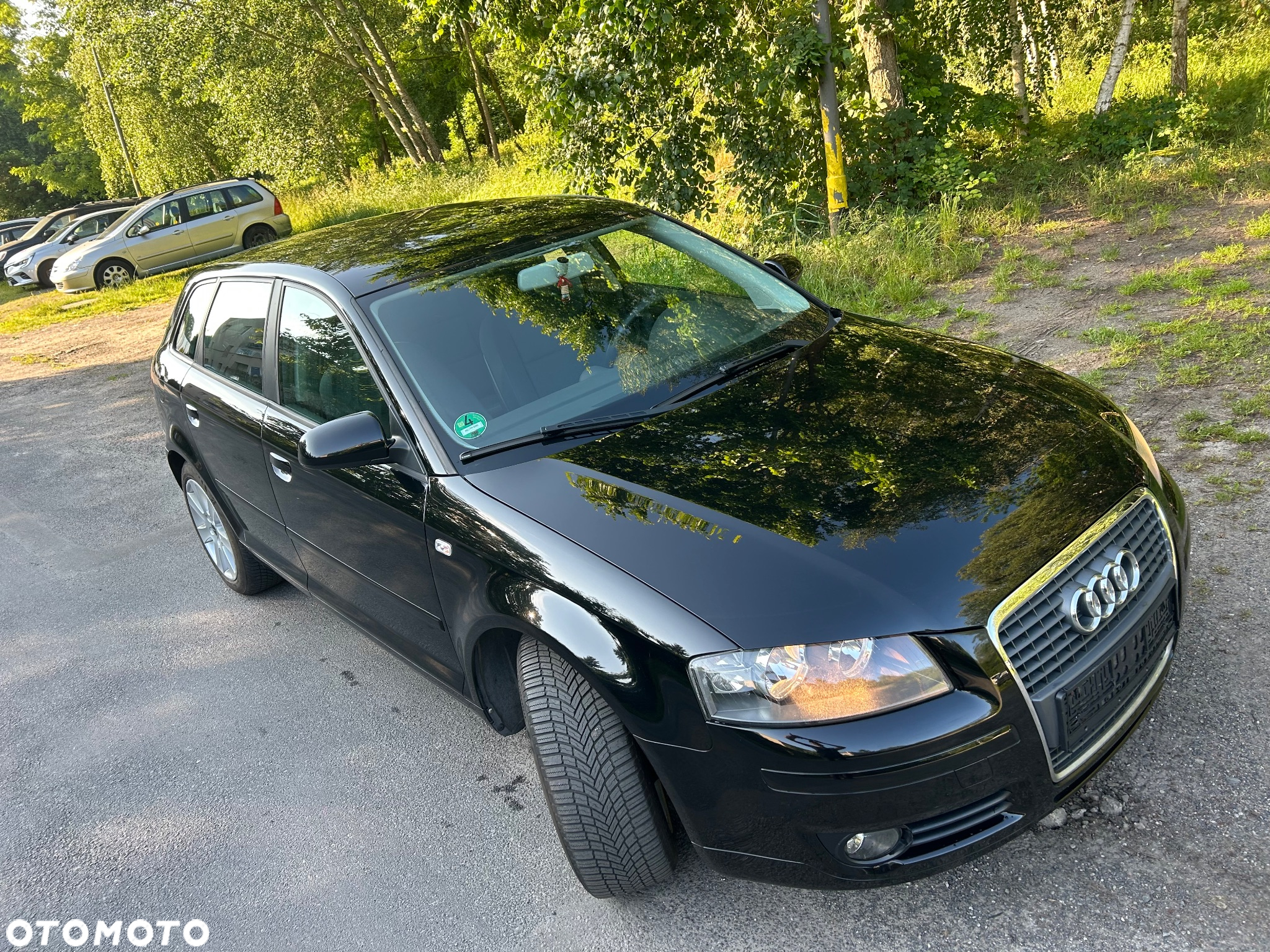 Audi A3 1.6 Sportback Ambition - 22