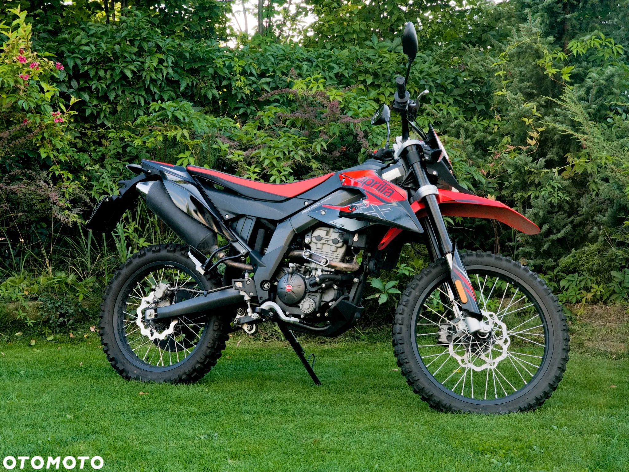 Aprilia RX