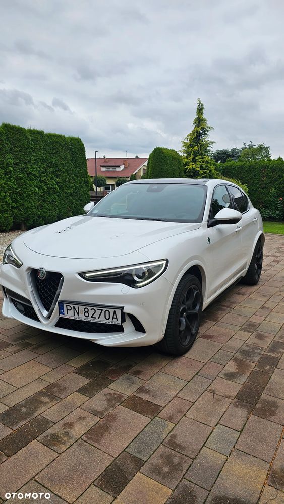 Alfa Romeo Stelvio 2.9 V6 Bi-Turbo Quadrifoglio Q4 - 16