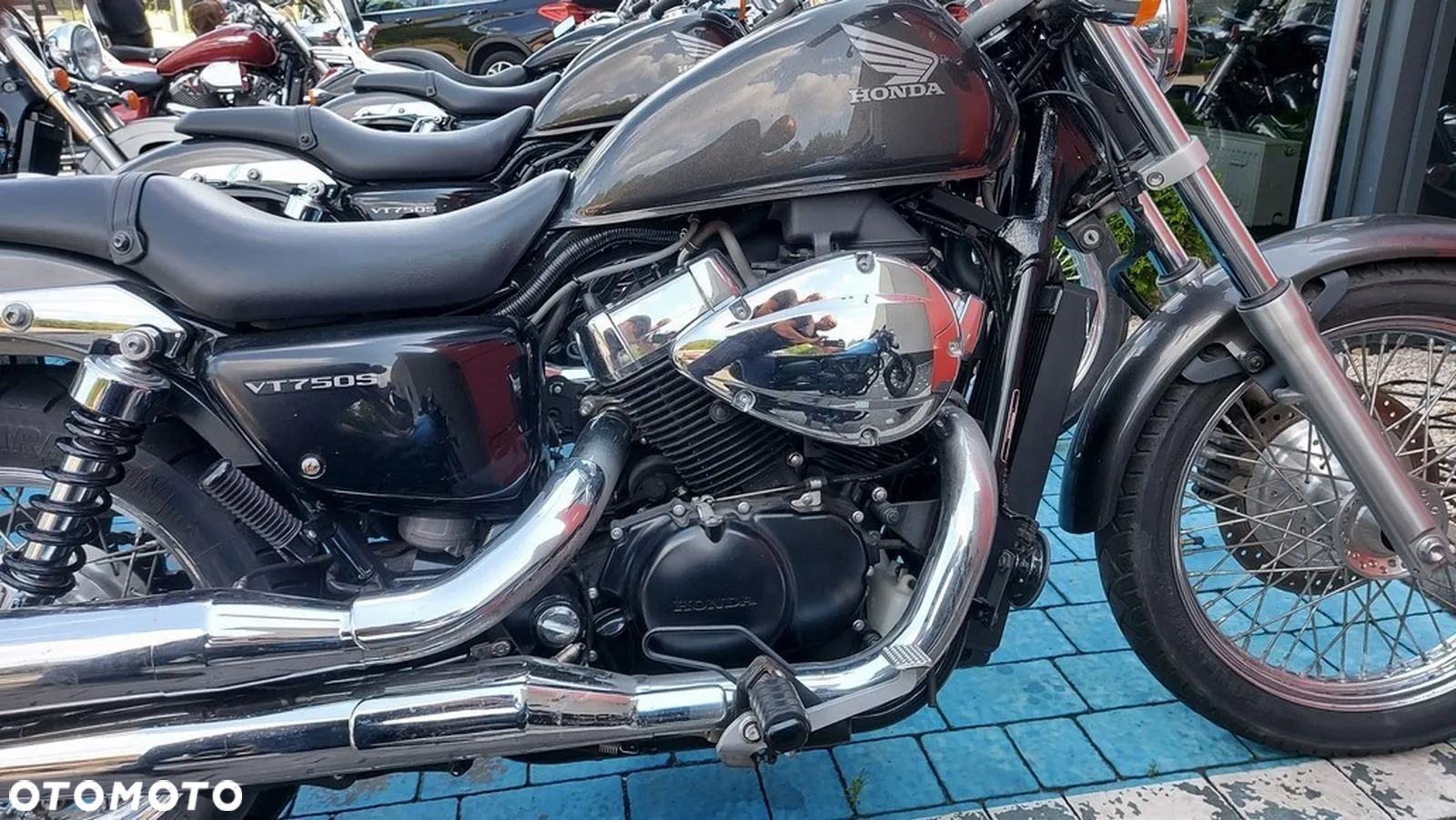 Honda VT - 13