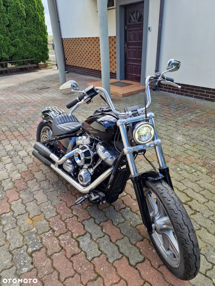 Harley-Davidson Softail Standard - 6