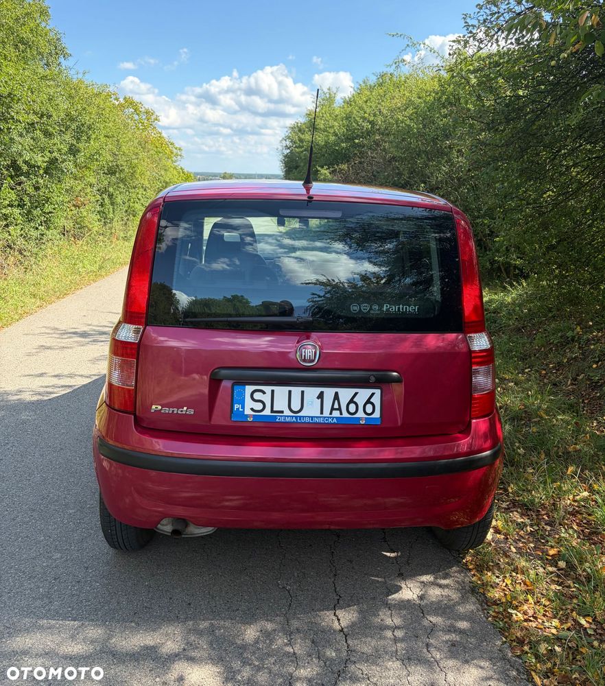 Fiat Panda - 2