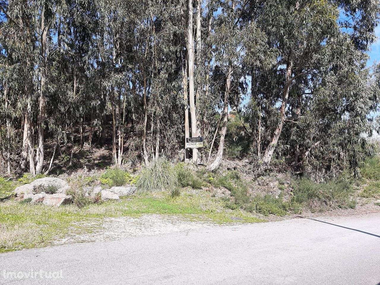 Vende terreno 890m2 zona de construção Canelas Penafiel - Grande imagem: 4/9