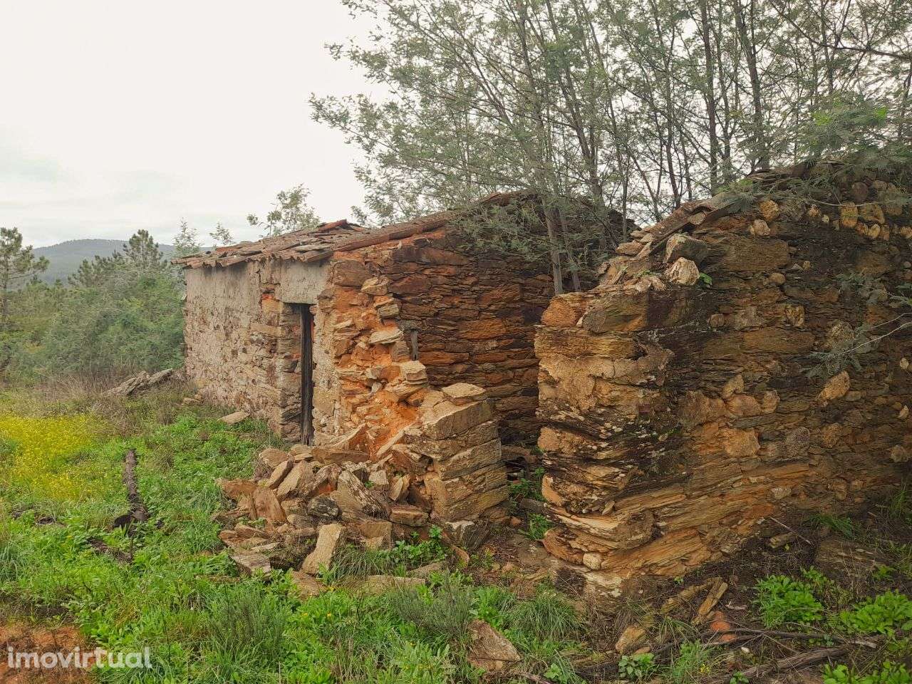 Quinta - Grande imagem: 2/12