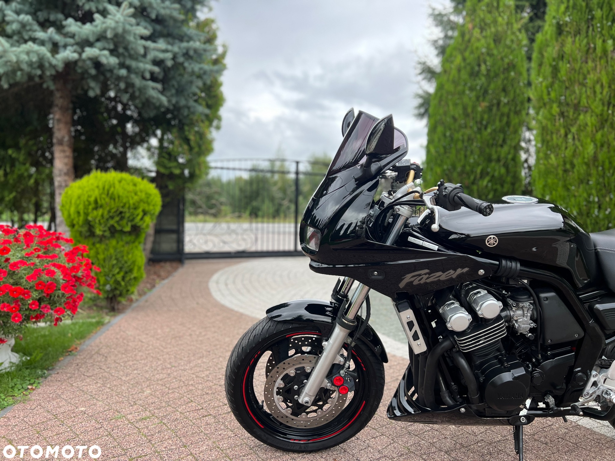 Yamaha FZS - 25