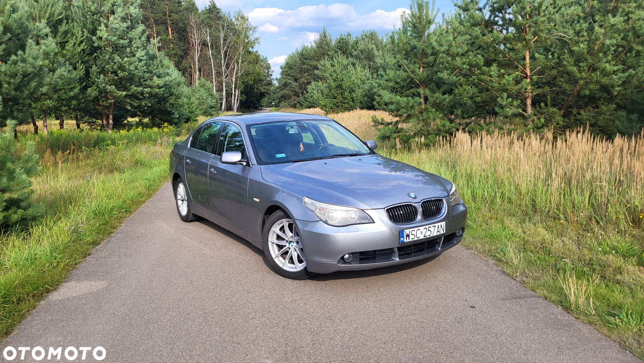 BMW Seria 5 - 2