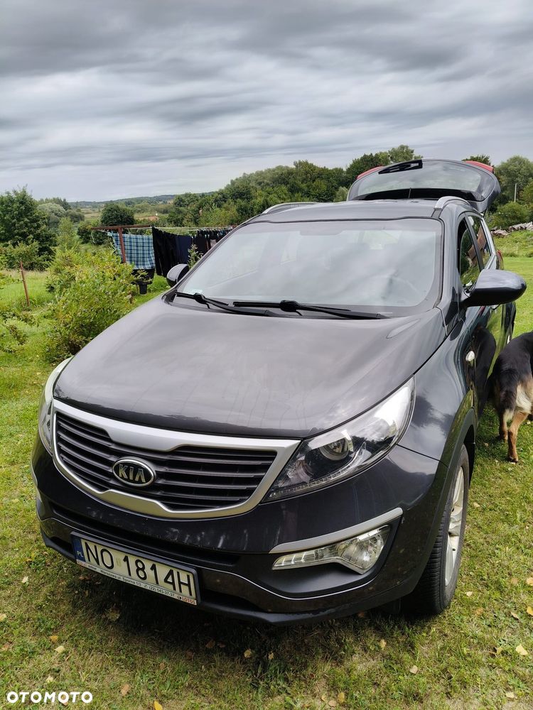 Kia Sportage - 1