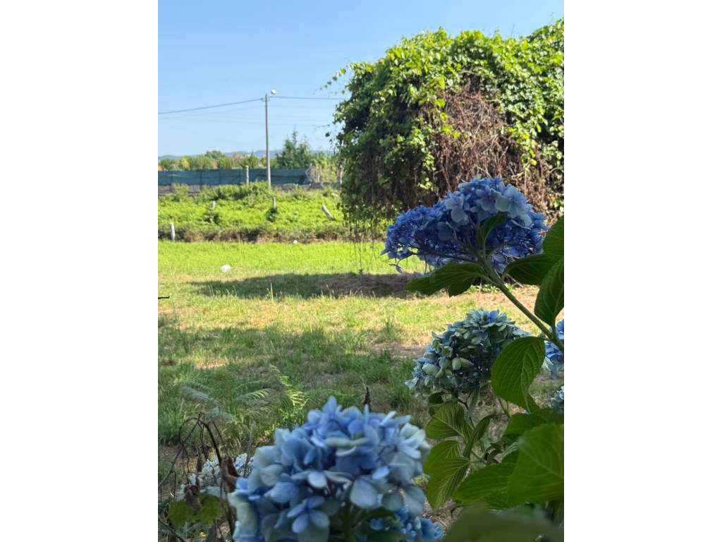 Terreno para construção em Lemenhe. - Grande imagem: 3/19