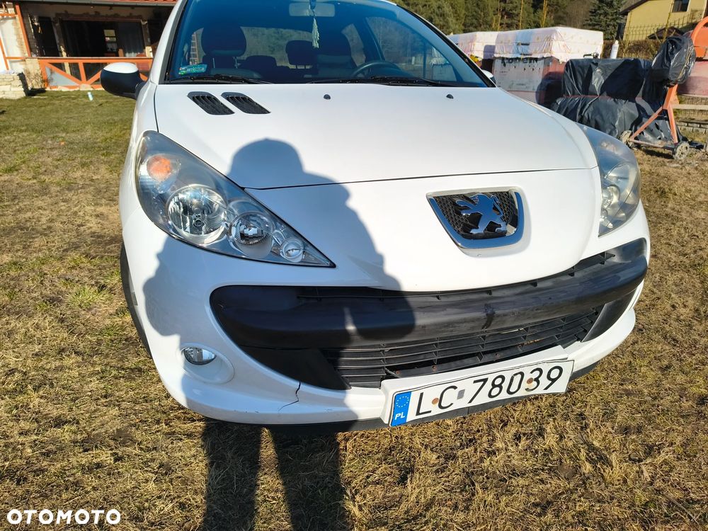 Peugeot 206 plus 60 - 6