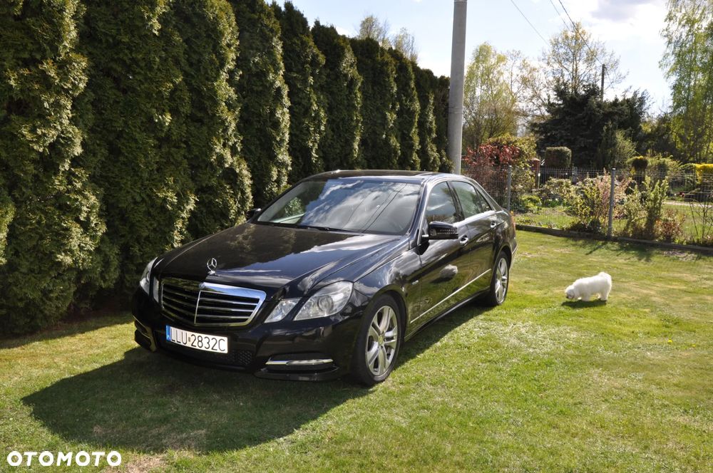 Mercedes-Benz Klasa E 250 CDI DPF BlueEFFICIENCY Automatik Avantgarde - 5