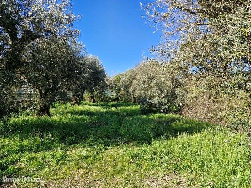 Terreno à venda em Alcaria - Grande imagem: 5/9