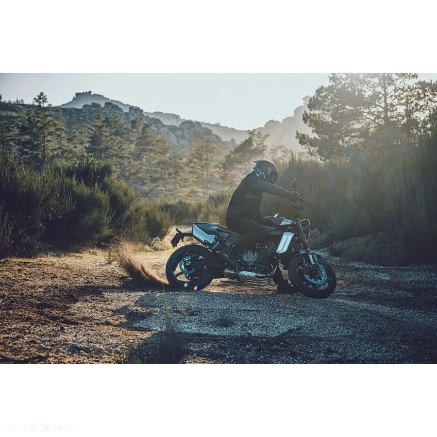 Husqvarna Svartpilen - 26