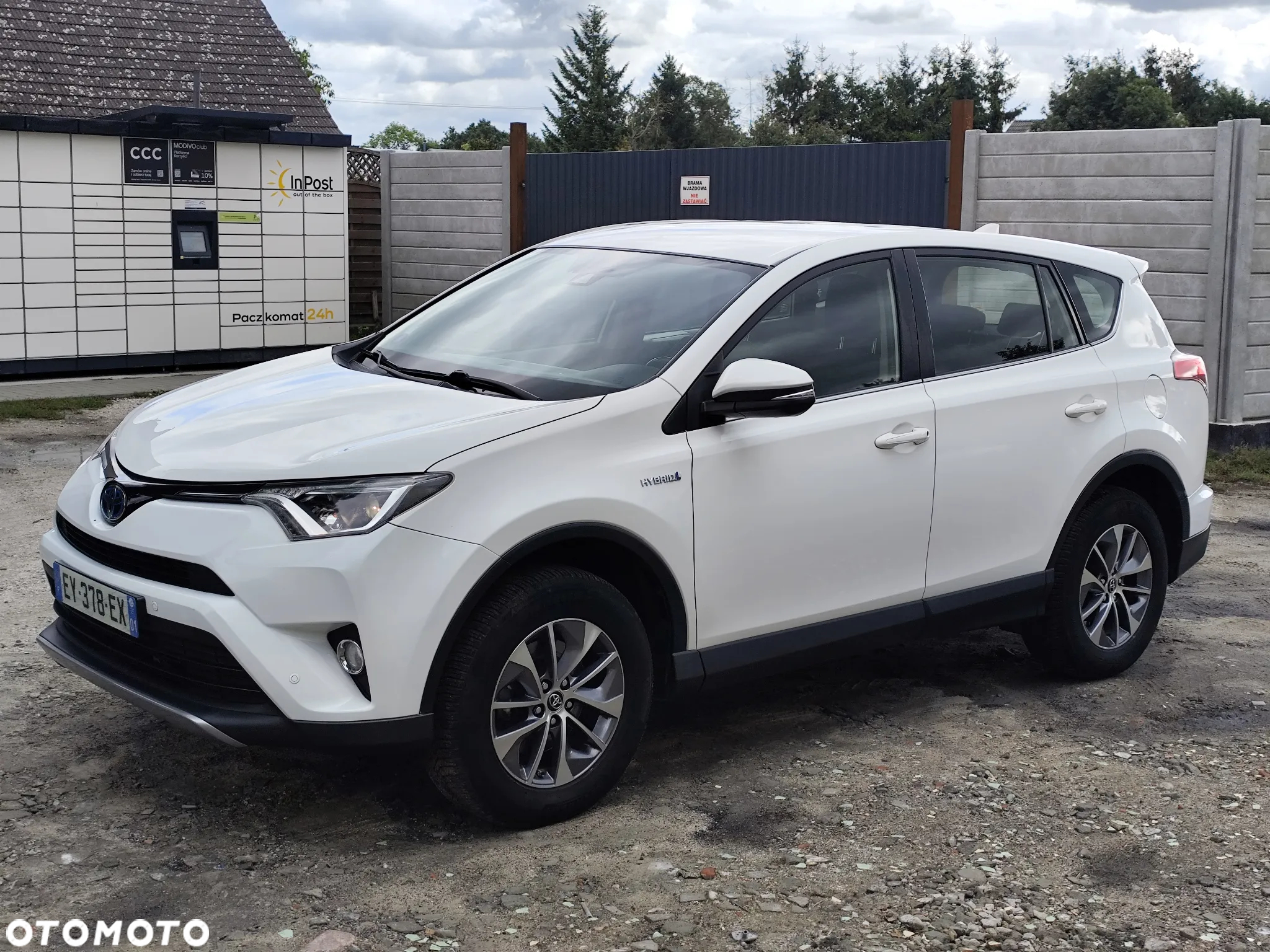 Toyota RAV4 2.5 4x2 Hybrid Edition S+ - 2