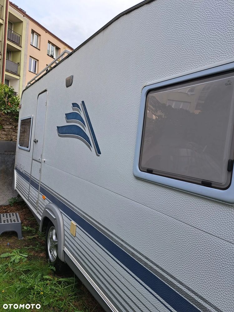 Wilk SPORT 490 - 5