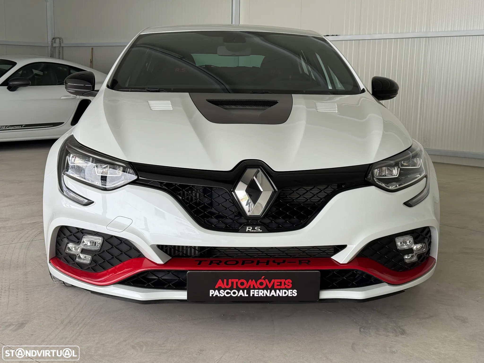 Renault Mégane 1.8 TCe R.S. Trophy R - 16