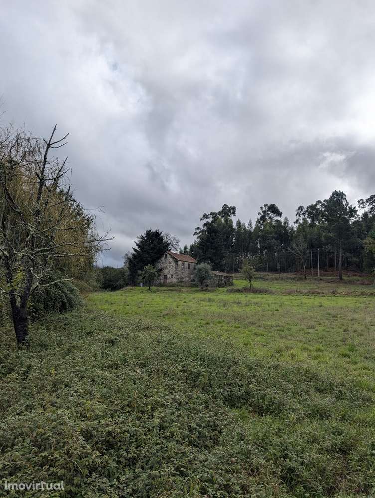Quinta com Vista para a Serra da Estrela | Moimenta da Serra – Gouveia - Grande imagem: 2/19