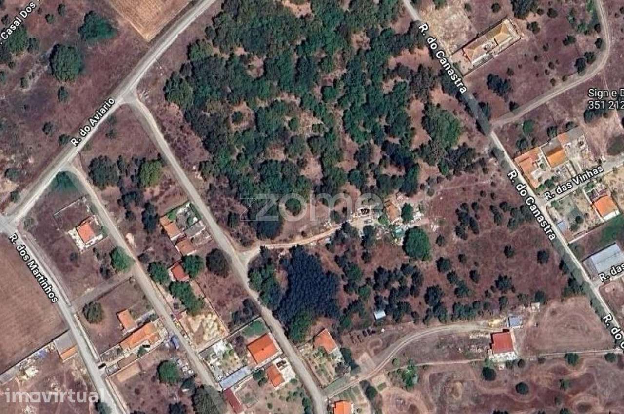 Terreno Monte do Lagarto | Lagoinha | Palmela - Grande imagem: 2/9