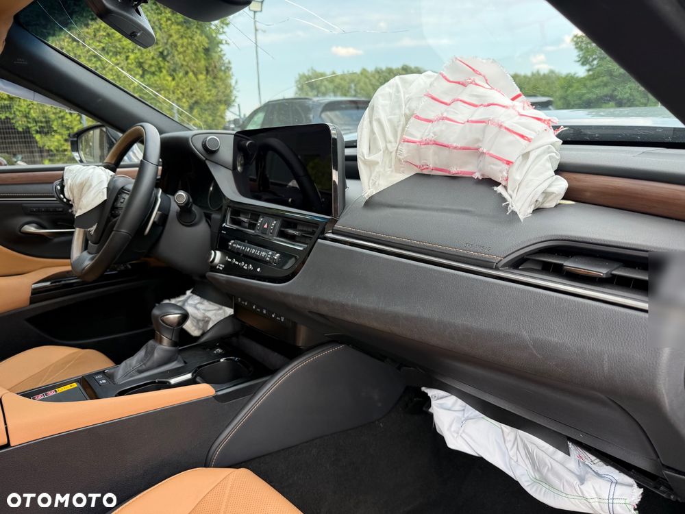 Lexus ES 300h Omotenashi - 17
