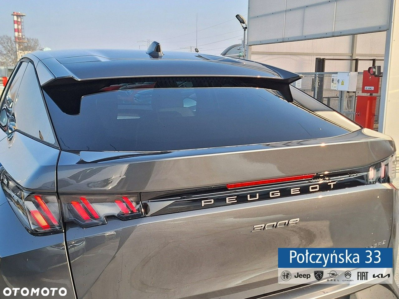 Peugeot 3008 - 13