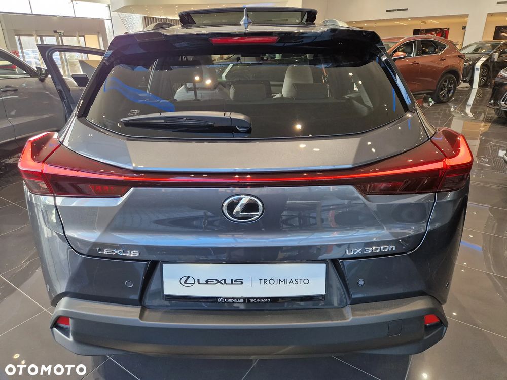 Lexus UX 300h Prestige - 7